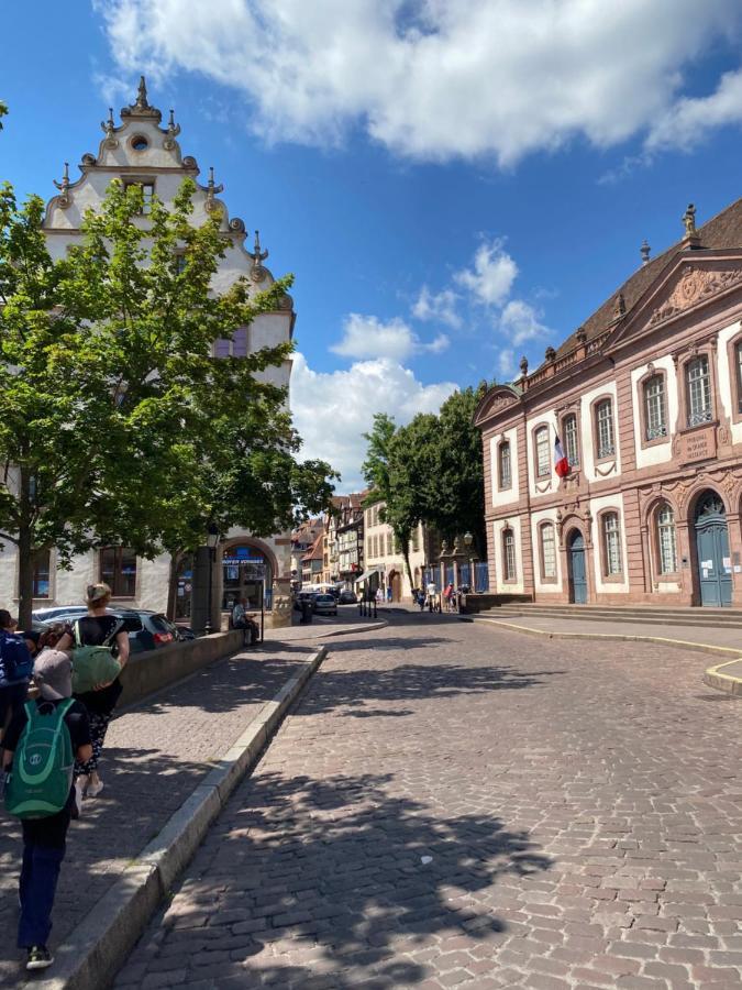 Hello Colmar Luxury Petite Venise 7 Pers Parking Velos Apartment Exterior foto